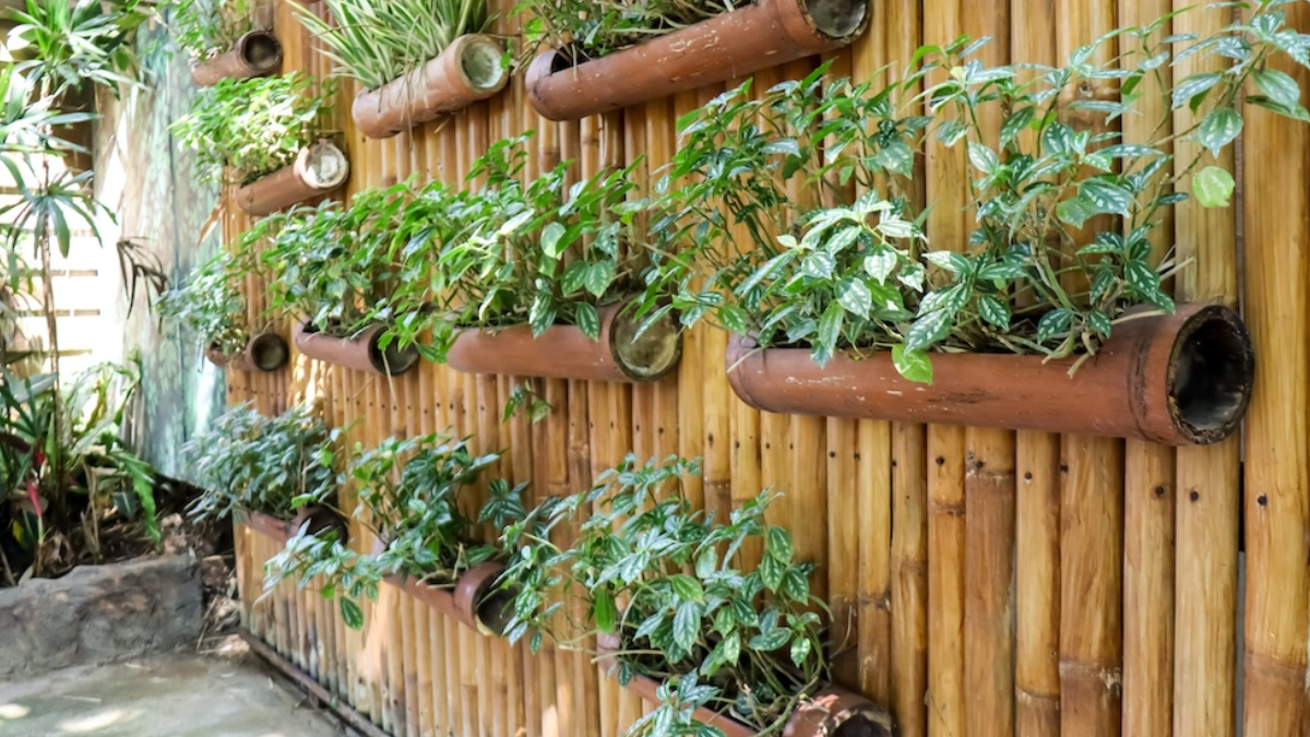 Jardín vertical sustentable: cómo crear macetas con botellas de plástico