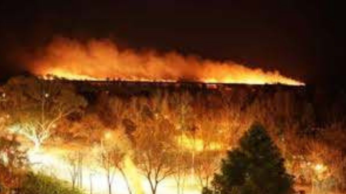 En las provincias de Santa Fe y Entre Ríos