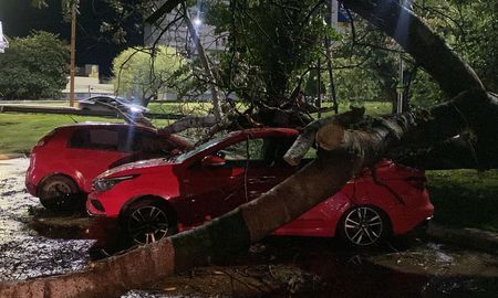 Por la tormenta en Santa Fe, un árbol cayó encima de dos autos en la zona del Club Regatas. Por la tormenta en Santa Fe, un árbol cayó encima de dos autos en la zona del Club Regatas.