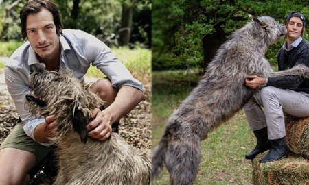 Furor en las redes por el perro gigante de Iván de Pineda Furor en las redes por el perro gigante de Iván de Pineda
