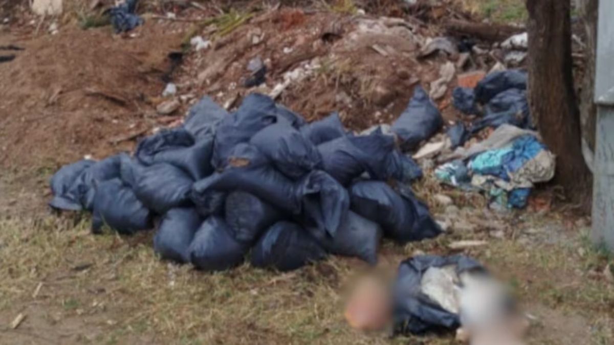 El cuerpo descuartizado fue hallado dentro de bolsas en la ciudad de Córdoba. (Foto: El Doce)