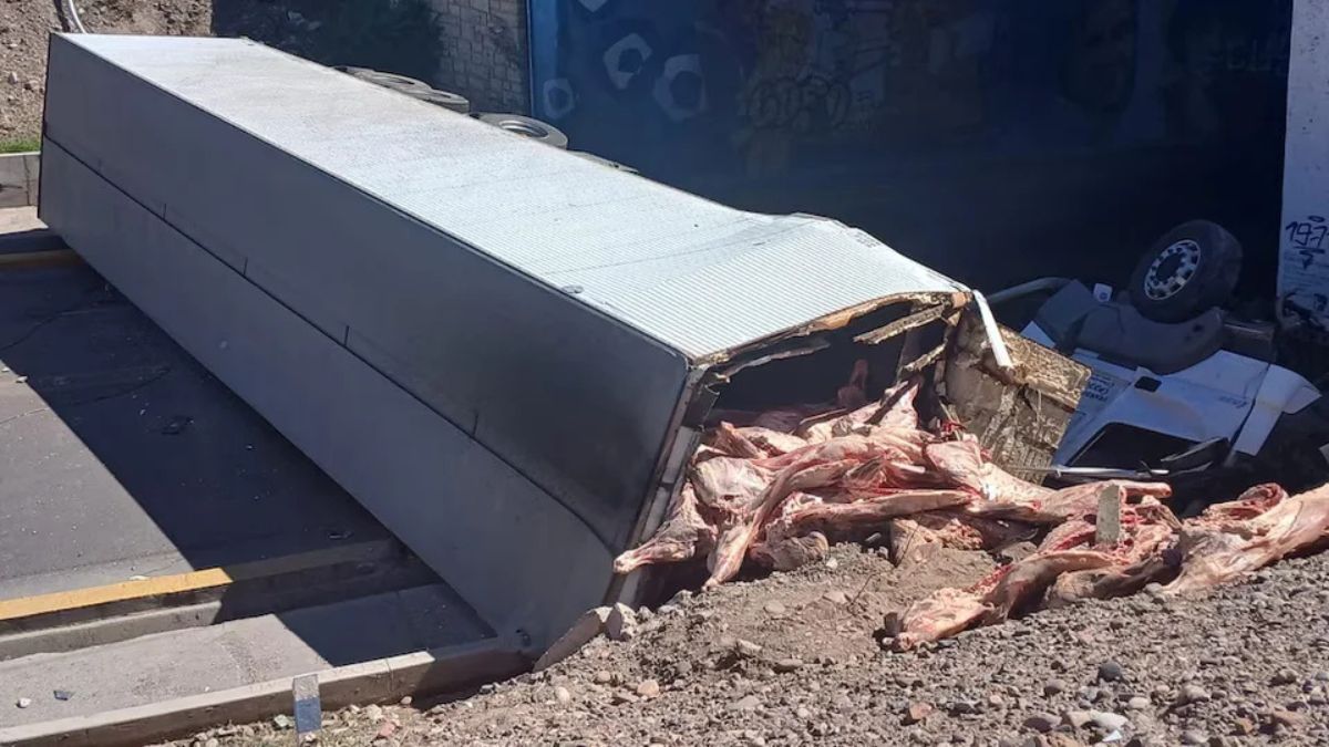 Las medias reces se esparcieron sobre el pavimento