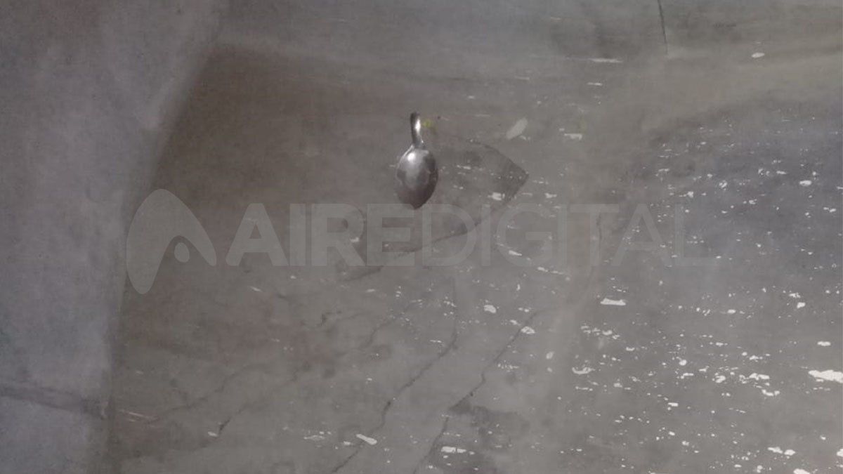 La situación se repite hace meses y fue motivo de encuentros entre las autoridades municipales, delegados y empleados de la empresa Ersa,