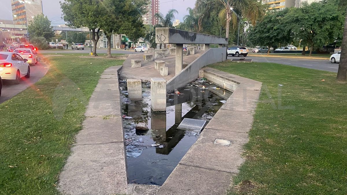 Agua estancada y tapada de mugre, en plena ciudad de Santa Fe.