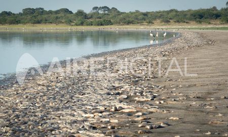 Así se vieron este jueves 26 de febrero los peces muertos en la Laguna del Plata del Vera y Pintado. Así se vieron este jueves 26 de febrero los peces muertos en la Laguna del Plata del Vera y Pintado.