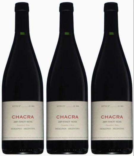 Pinot Noir de la Patagonia