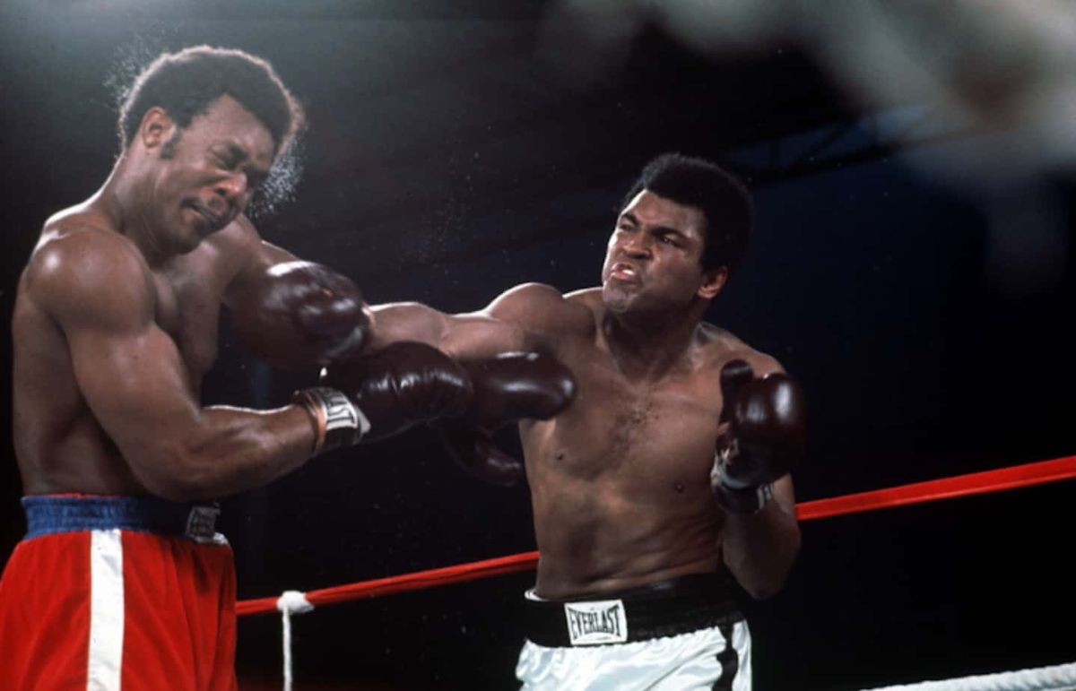 Cerca del final del octavo asalto, Ali esquivó dos golpes y, saliendo de un rincón, lanzó una veloz y precisa combinación sobre el rostro de Big George –que estaba agotado al extremo–, y lo envió a la lona, ante el griterío ensordecedor del público que colmó el estadio 20 de Mayo de Kinshasa. Cerca del final del octavo asalto, Ali esquivó dos golpes y, saliendo de un rincón, lanzó una veloz y precisa combinación sobre el rostro de Big George –que estaba agotado al extremo–, y lo envió a la lona, ante el griterío ensordecedor del público que colmó el estadio 20 de Mayo de Kinshasa.