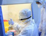 cientificos identifican al tipo de personas potencialmente inmunes al coronavirus cientificos identifican al tipo de personas potencialmente inmunes al coronavirus
