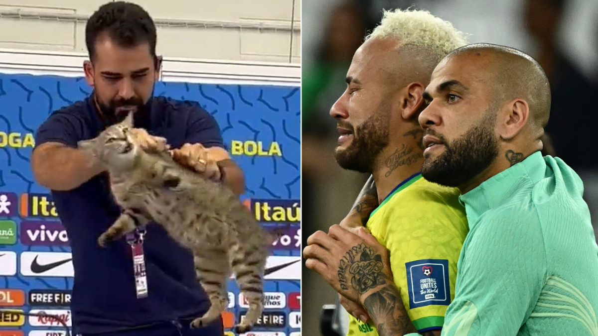 Brasil y la maldición del gato: el jefe de prensa lo maltrató y quedaron eliminados del Mundial de Qatar 2022