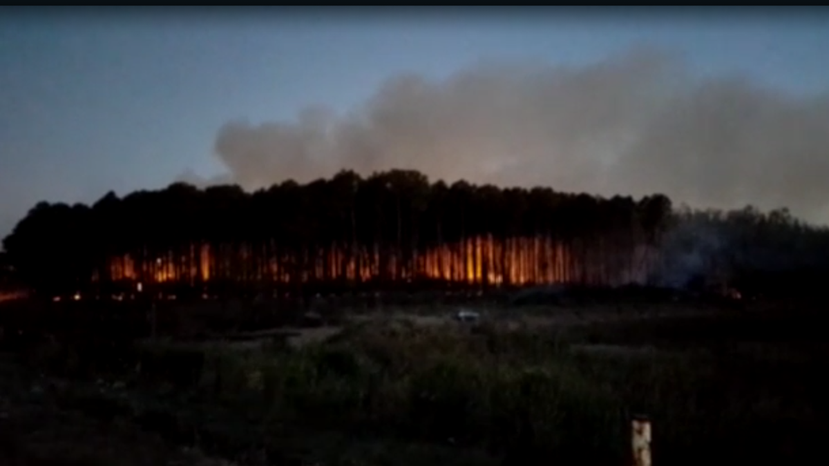 El incendio se registró en cercanías al club Independiente.