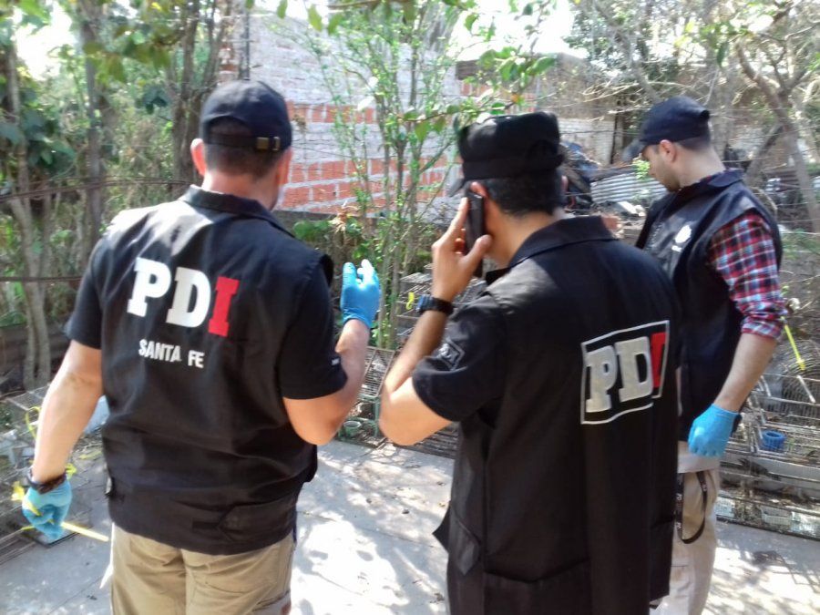 Allanaron una casa y encontraron más de 70 aves listas para vender