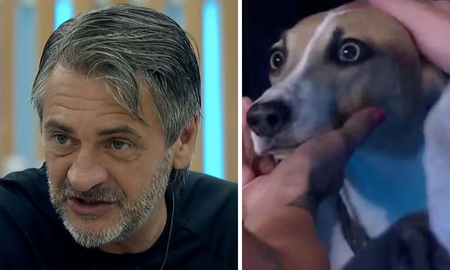 Preocupa los ataques agresivos de Arturo en Gran Hermano. Preocupa los ataques agresivos de Arturo en Gran Hermano.