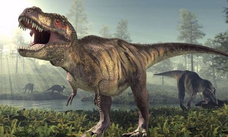 El cráneo del T-rex evolucionó para soportar presiones de mordida superiores a cualquier otro animal terrestre, reemplazando la función de agarre que tenían sus ancestros. El cráneo del T-rex evolucionó para soportar presiones de mordida superiores a cualquier otro animal terrestre, reemplazando la función de agarre que tenían sus ancestros.