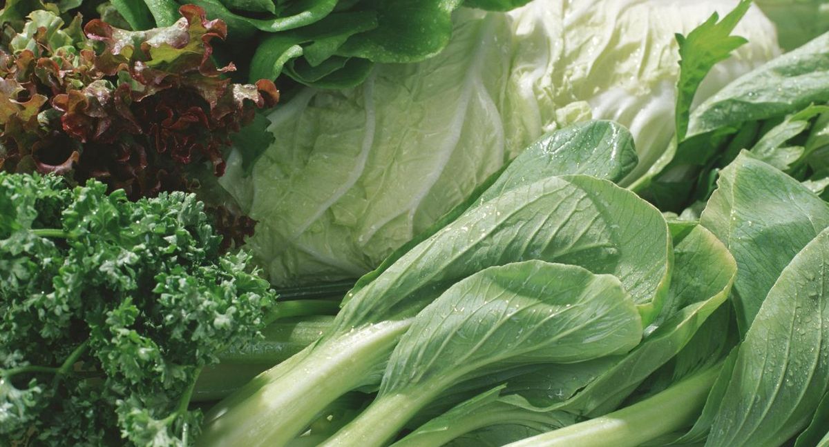 La verdura para sembrar en septiembre.&nbsp;