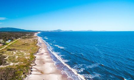 La forestación de Santa Ana comenzó hace 80 años como un proyecto familiar que reemplazó las dunas móviles por un bosque de especies exóticas y nativas que hoy define su identidad. La forestación de Santa Ana comenzó hace 80 años como un proyecto familiar que reemplazó las dunas móviles por un bosque de especies exóticas y nativas que hoy define su identidad.