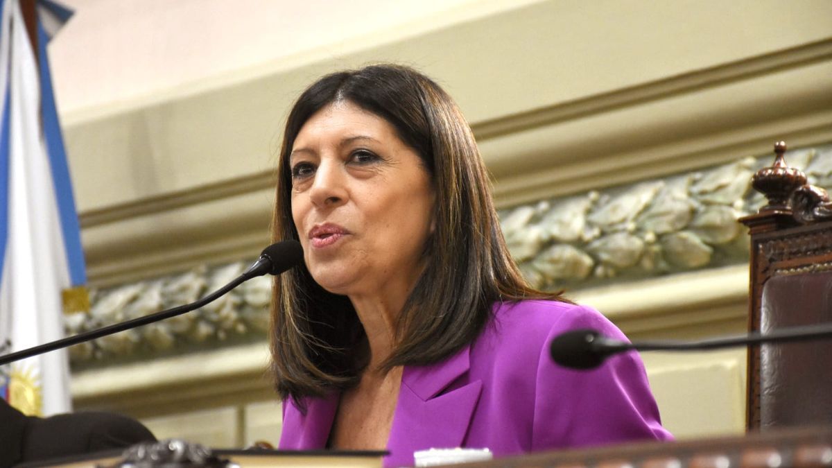 Clara García fue reelecta como presidenta de la Cámara de Diputados de Santa Fe.