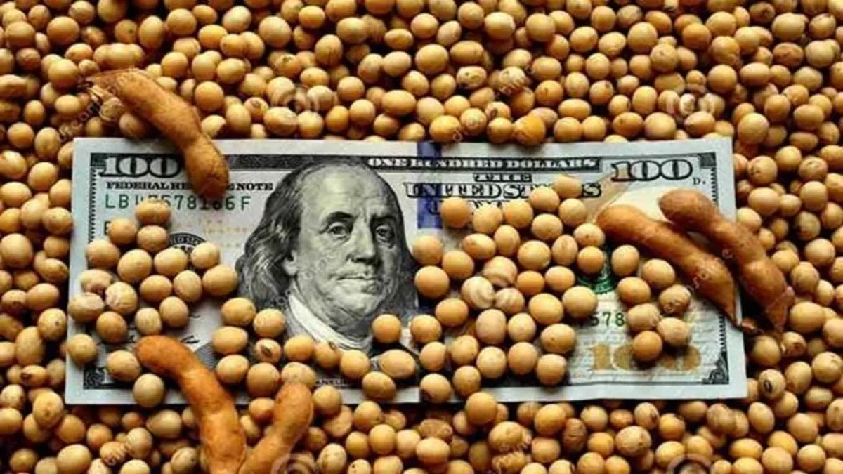 La demanda del dólar es altísima en Argentina.