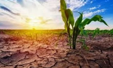 ¿vuelve la nina a argentina?: que dice el ultimo informe climatico del sat ¿vuelve la nina a argentina?: que dice el ultimo informe climatico del sat