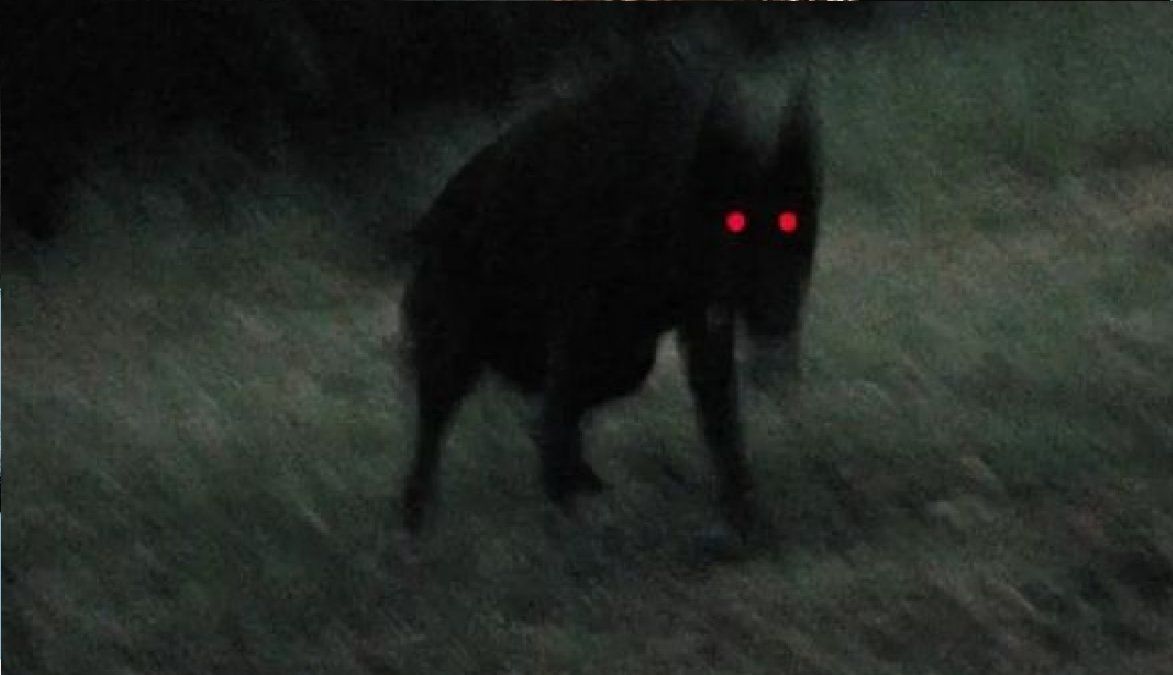 Misterio en Salta por la aparición de una supuesta criatura demoníaca que asolaría los cañaverales&nbsp;