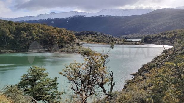 Parque Nacional Tierra del Fuego, Ushuaia.