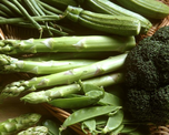 MasterChef: cómo aprovechar los tallos de los vegetales, los ingredientes estrellas del día MasterChef: cómo aprovechar los tallos de los vegetales, los ingredientes estrellas del día