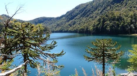 Versiones sobre el hallazgo de un cuerpo en Chile alertan al Gobierno