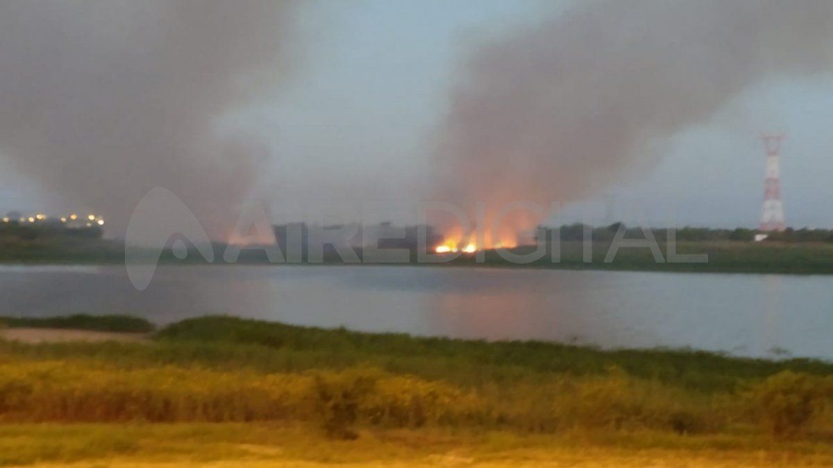 El fuego se registró esta tarde frente a la laguna Bedetti de Santo Tomé. 