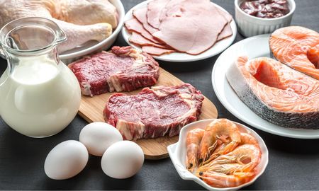 alimentacion cetogenica para mejorar la salud alimentacion cetogenica para mejorar la salud