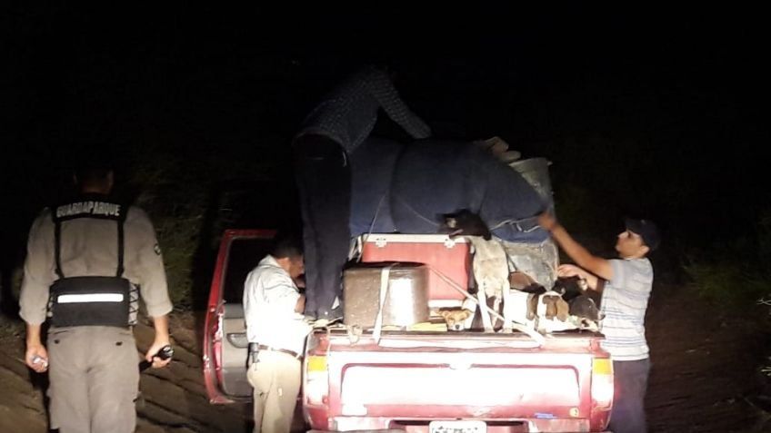 Rompieron la cuarentena para ir a cazar y terminaron detenidos