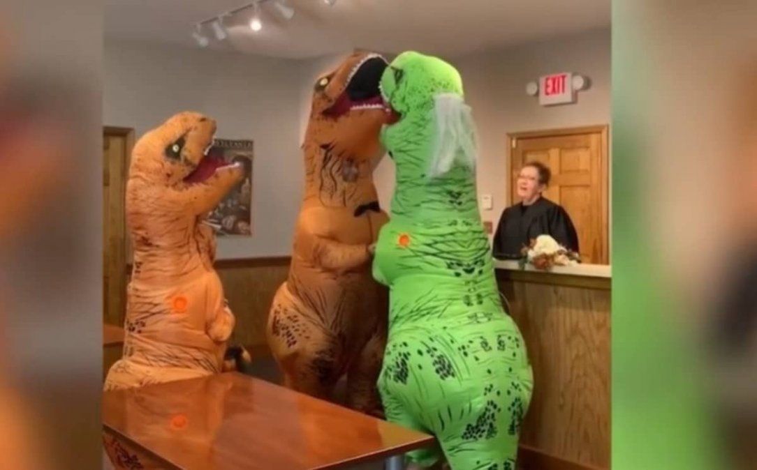 Viral: un casamiento de dinosaurios.