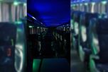 Aparición en un colectivo Aparición en un colectivo