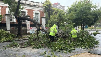 Calles anegadas y árboles caídos por la tormenta en Santa Fe: las zonas afectadas