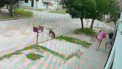 El historial de violencia detrás del caso de la mujer que roció a otra con nafta en el barrio Nueva Esperanza