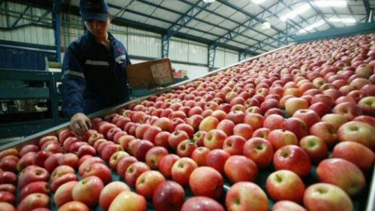 Desde la Sociedad de Quinteros afirmaron que el costo de las frutas aumentaron por el costo de producción que demandan.&nbsp;