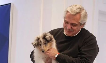 Así es Blue, el tierno hijo de Dylan, el perro de Alberto Fernández Así es Blue, el tierno hijo de Dylan, el perro de Alberto Fernández