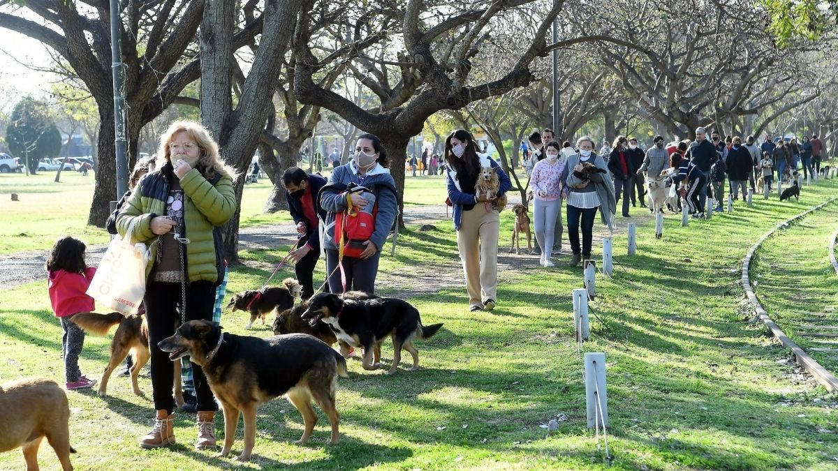 La vacunación se replicó también en las plazas Constituyentes