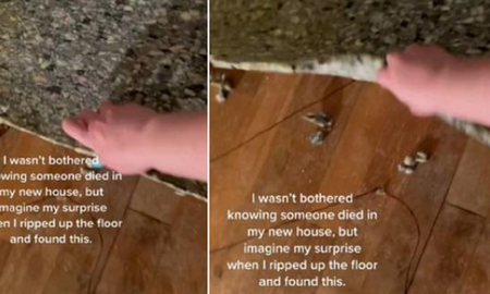Video viral: se mudó a una casa donde alguien murió y encontró algo insólito en la alfombra. Video viral: se mudó a una casa donde alguien murió y encontró algo insólito en la alfombra.