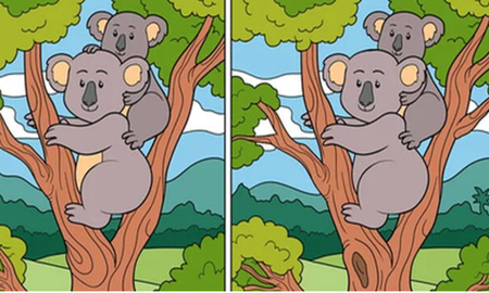 RETO VISUAL nivel PRO: solo el 2% encontró las 10 diferencias ¡en 5 segundos! RETO VISUAL nivel PRO: solo el 2% encontró las 10 diferencias ¡en 5 segundos!