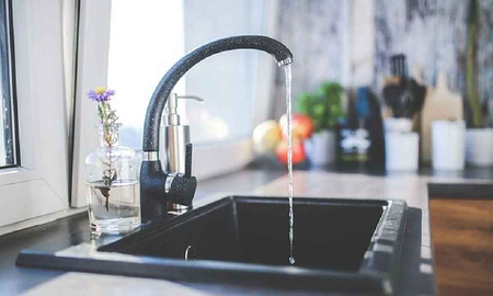 ¿Cómo eliminar las molestas mosquitas que aparecen en la cocina?