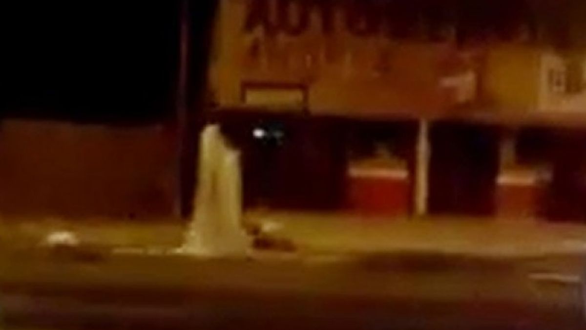 Los vecinos decían que vieron a una mujer de cabellos negros deambulando por la calle