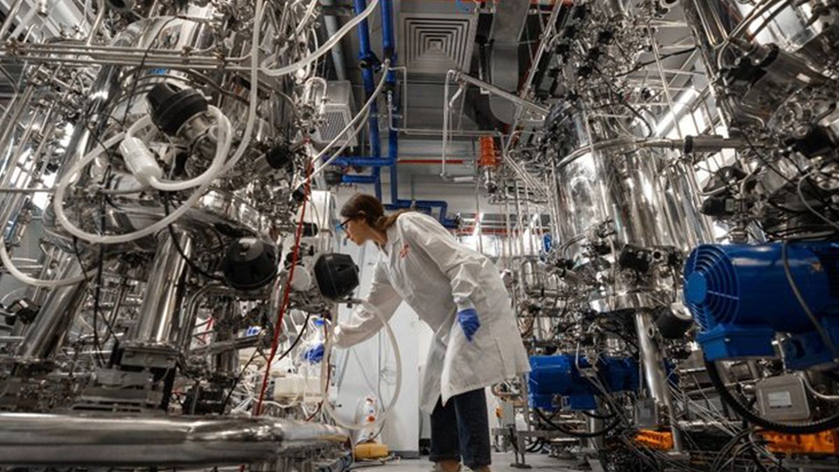Future Meat Technologies anunció la apertura de la primera planta industrial del mundo de producción de carne&nbsp;