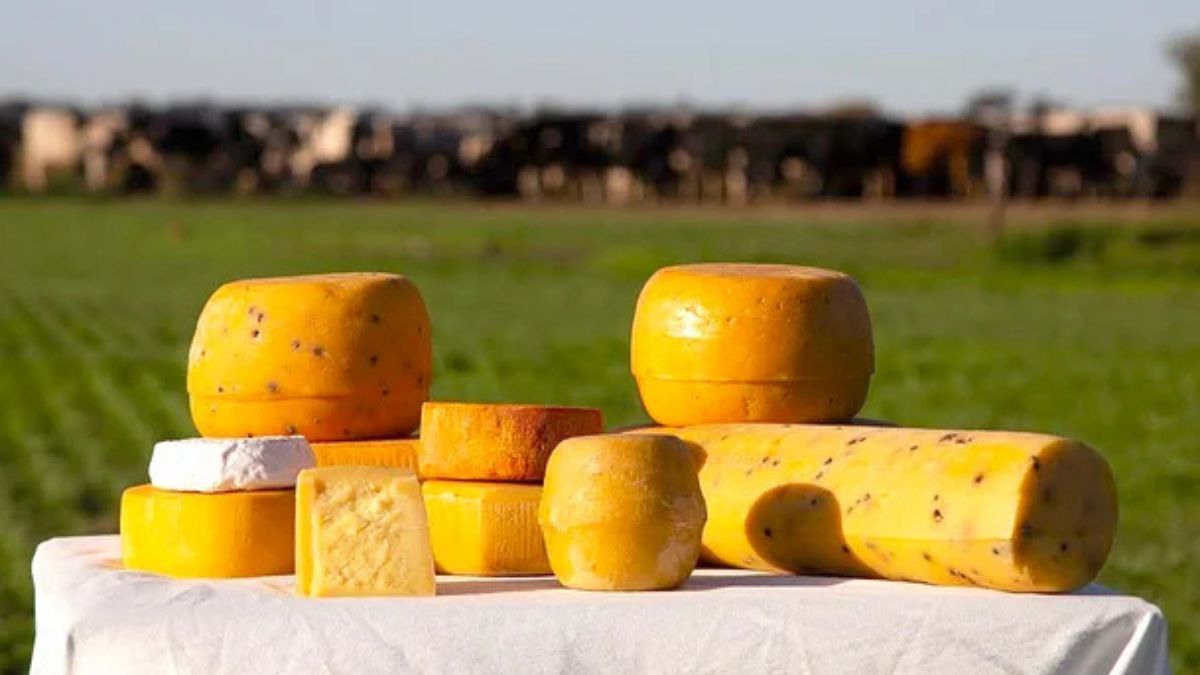 Camino del Queso en Córdoba, una escapada entre sierras, sabores y tradiciones queseras