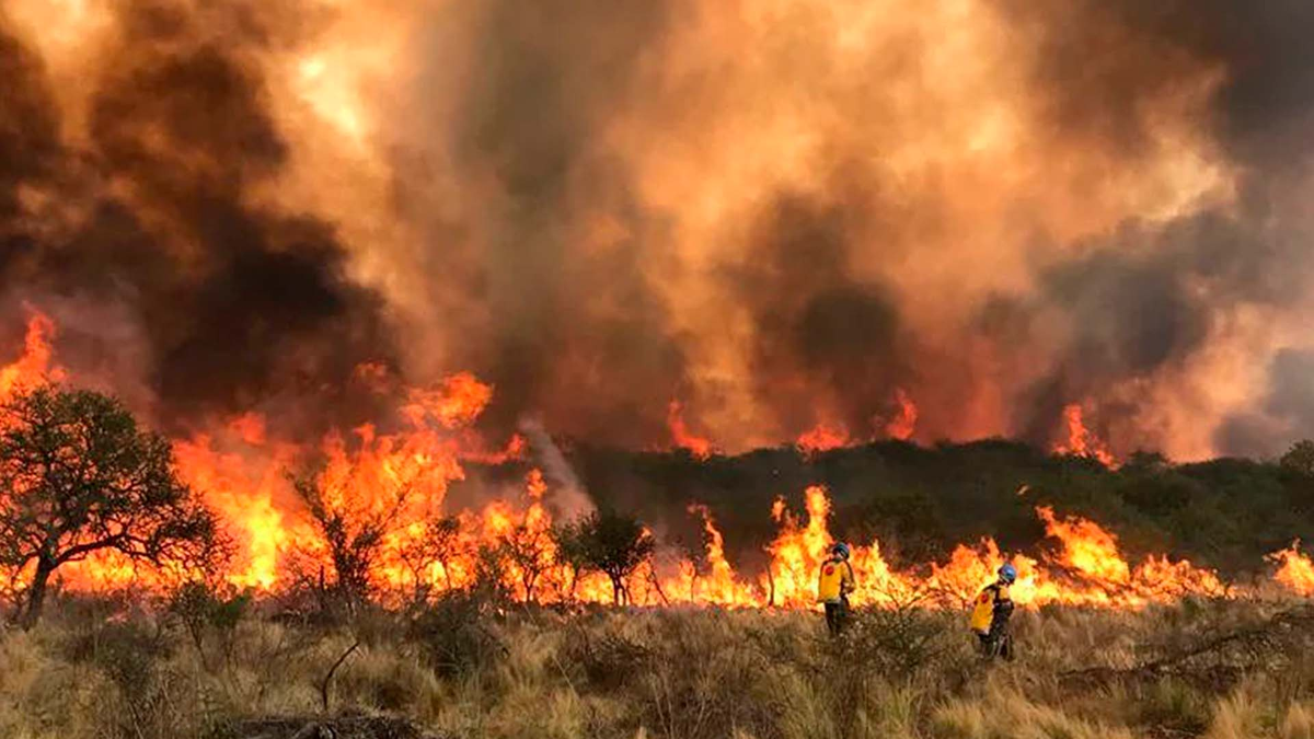 Incendios en Córdoba: la desesperación de Patricia Sosa