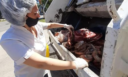 La Municipalidad de Santo Tomé clausuró una carnicería ubicada ubicada en Avenida Luján y Colón, donde se decomisaron 350 kilos de carne en mal estado. La Municipalidad de Santo Tomé clausuró una carnicería ubicada ubicada en Avenida Luján y Colón, donde se decomisaron 350 kilos de carne en mal estado.