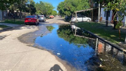 Barrio Los Hornos: residuos cloacales estancados generan preocupación en vecinos de calle Ruperto Godoy