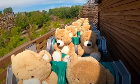 video: los osos de peluche que disfrutan de un parque tematico en plena cuarentena video: los osos de peluche que disfrutan de un parque tematico en plena cuarentena