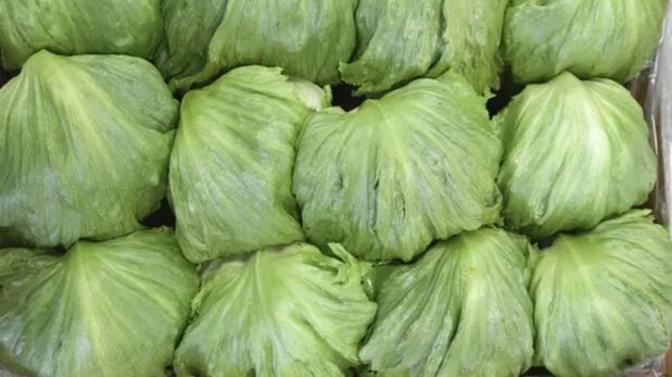 Aire de Santa Fe | lechuga