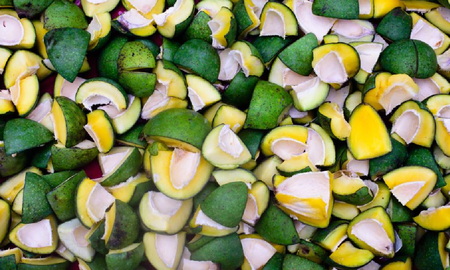 Recetas con zapallitos Recetas con zapallitos