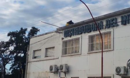 El trabajador sufrió una descarga cuando realizaba tareas en el techo de una distribuidora en Santa Fe El trabajador sufrió una descarga cuando realizaba tareas en el techo de una distribuidora en Santa Fe