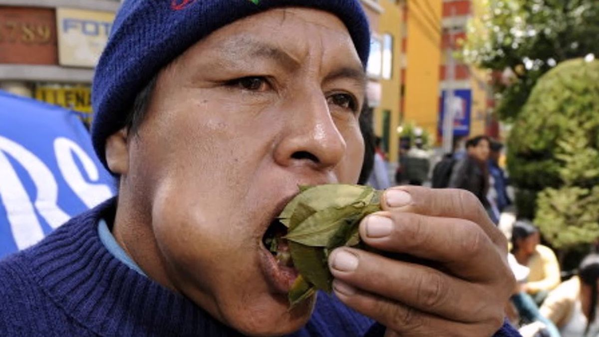 Por la crisis en Bolivia, el cuarto de coca podría valer 750 pesos